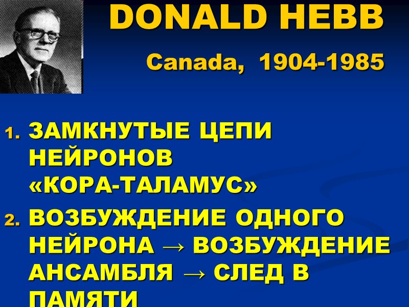 DONALD HEBB  Canada, 1904-1985 ЗАМКНУТЫЕ ЦЕПИ НЕЙРОНОВ «КОРА-ТАЛАМУС» ВОЗБУЖДЕНИЕ ОДНОГО НЕЙРОНА → ВОЗБУЖДЕНИЕ